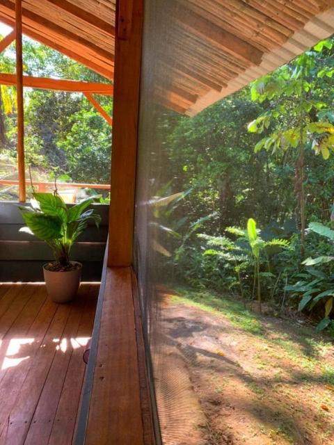 Private Jungle “Loft Del Rio” River Access Uvita Exterior photo